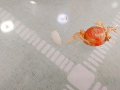 -四海蒸鲜蒸汽海鲜自助(北戴河店)