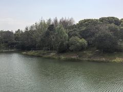 -尚贤河湿地