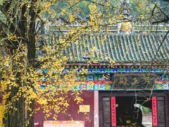 -佛荫寺