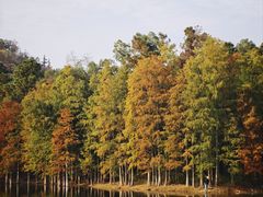 -青龙山国家森林公园