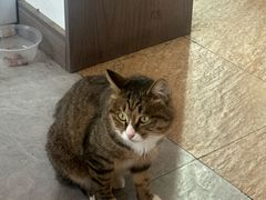 -九寨沟石锅鱼(沣峪口二十年店)
