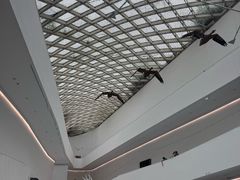 游乐设施-中国湿地博物馆