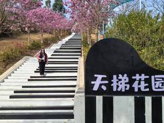 -盈香心动乐园