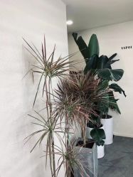 -DX HAIR SALON·发现未知美发沙龙