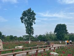 -汉长安城未央宫国家考古遗址公园