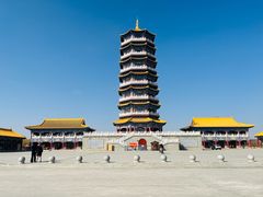 -金塔沙漠胡杨林景区