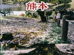 -水前寺成趣园