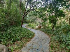 -深圳国际园林花卉博览园