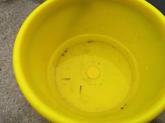 -碓臼峪自然风景区