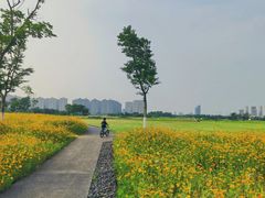 -洋湖国家湿地公园