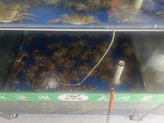 -阳澄湖大闸蟹·琼灵阁牌品牌连锁(吴中总店)