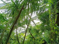 -中国科学院华南植物园