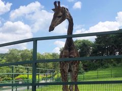 -沈阳森林动物园