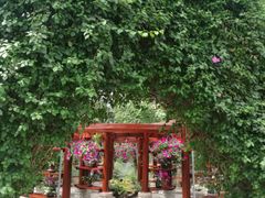 -南通洲际绿博园