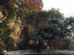 -沣峪森林公园龙潭戏水景区