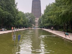 -玲珑塔公园