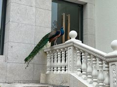 -西昌邛海宾馆