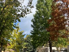 -云南师范大学(一二一西南联大校区)