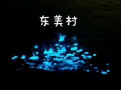 -坛南湾阿强农家乐.海鲜大排档老字号(福州地标美食店)
