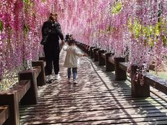 -酒仙湖景区
