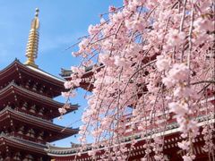 -浅草寺