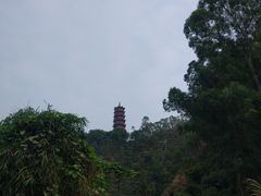 -鹿福农庄(南沙天后宫店)