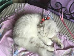 -广州迷途主题旅馆(海珠广场店)