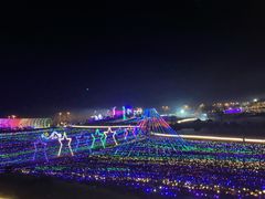 -大塘金香草谷