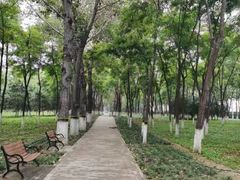 -大兴滨河森林公园