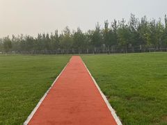 -北京国家会计学院