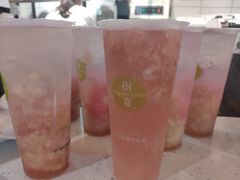 -树夏(鹭洲里店)