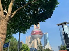 -上海大自然野生昆虫馆(东方明珠·爬宠昆虫探索中心)