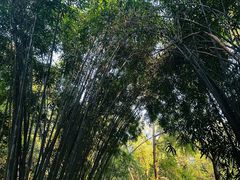 -成都杜甫草堂博物馆