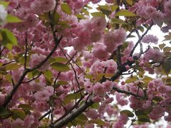 -苏州河梦清园环保主题公园