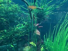 -海合安武汉极地海洋公园