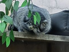 -青藏高原野生动物园