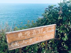 -杨梅坑