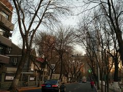 -岳阳道小学(大理道校区)