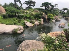 -罗红摄影艺术馆