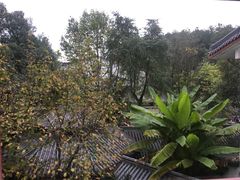 -唐风温泉