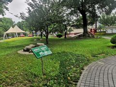 -七宝老街-闵行市民文化广场