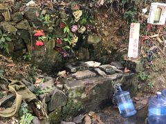 -三门江国家森林公园