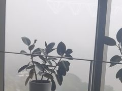 -IFC福州国际金融中心