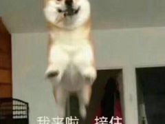 -赛百味(仙林金鹰店)