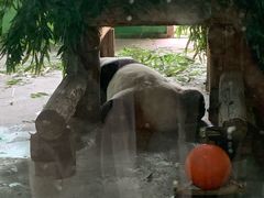 -石家庄市动物园