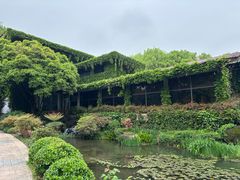 -中国茶叶博物馆(双峰馆区)
