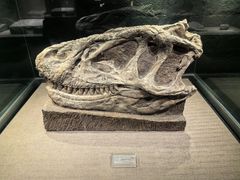 -自贡恐龙博物馆