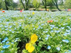 -上海滨江森林公园