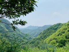 -老象峰