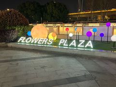 -紫荆广场·花漫里